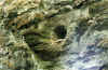schmirnbg_ag_01.jpg (47558 Byte)