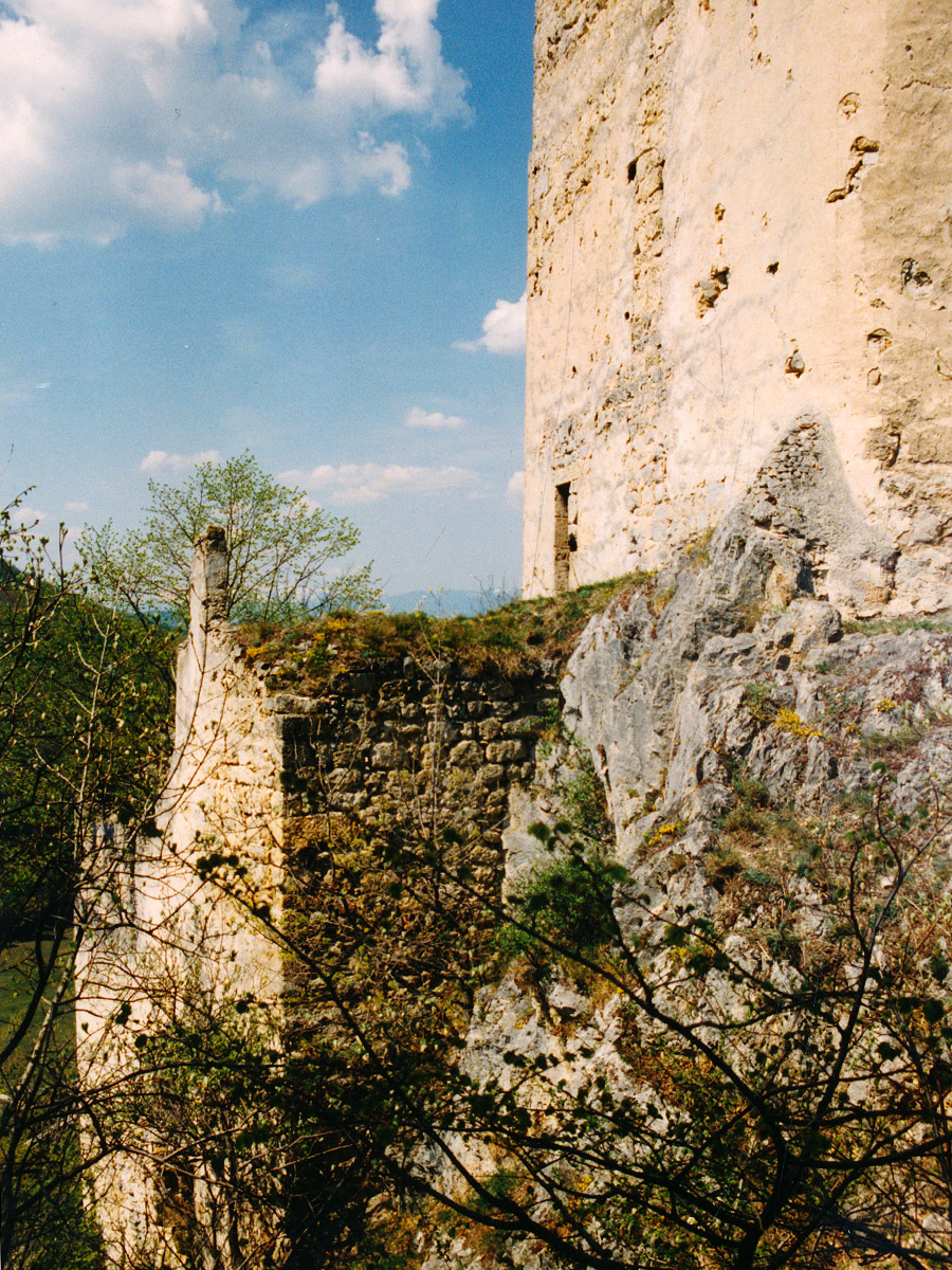 Thernberg: Palas und Bergfried von der Feldseite aus gesehen.