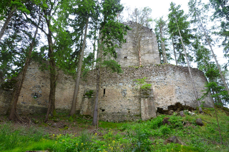 Hungerturm Waldstein: Ringmauer und Wohnturm von Norden gesehen.