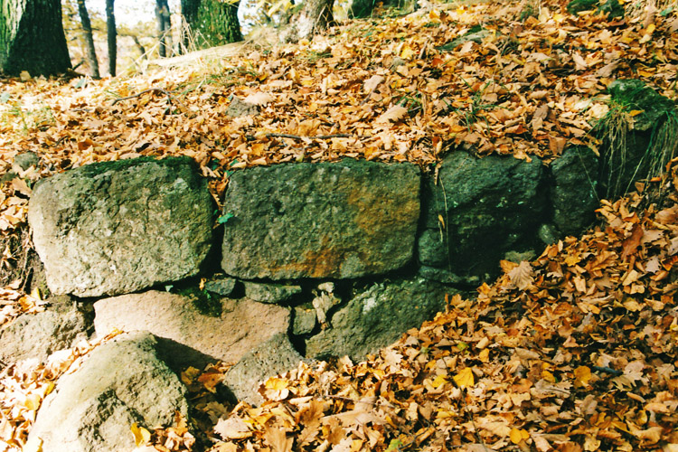 Alt-Gleichenbeg: spärliche Reste der Ringmauer. Foto 1998.