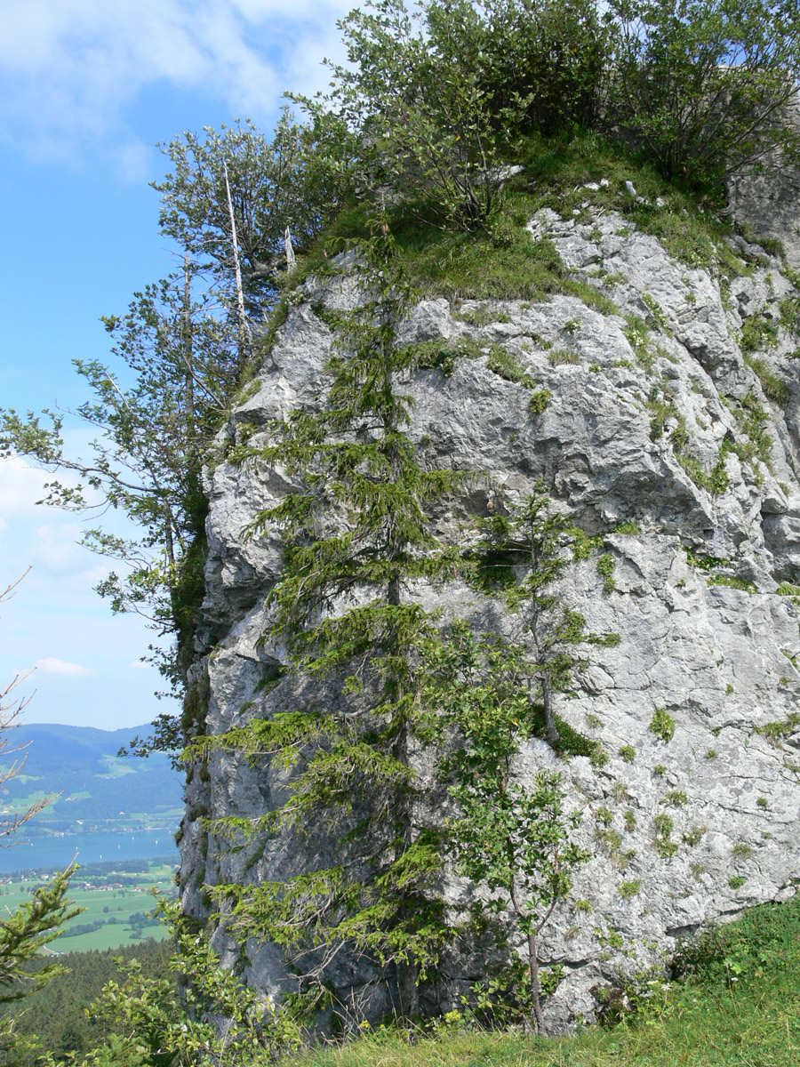 Wartenfels: Felsen der Hochburg vom Westen aus gesehen.