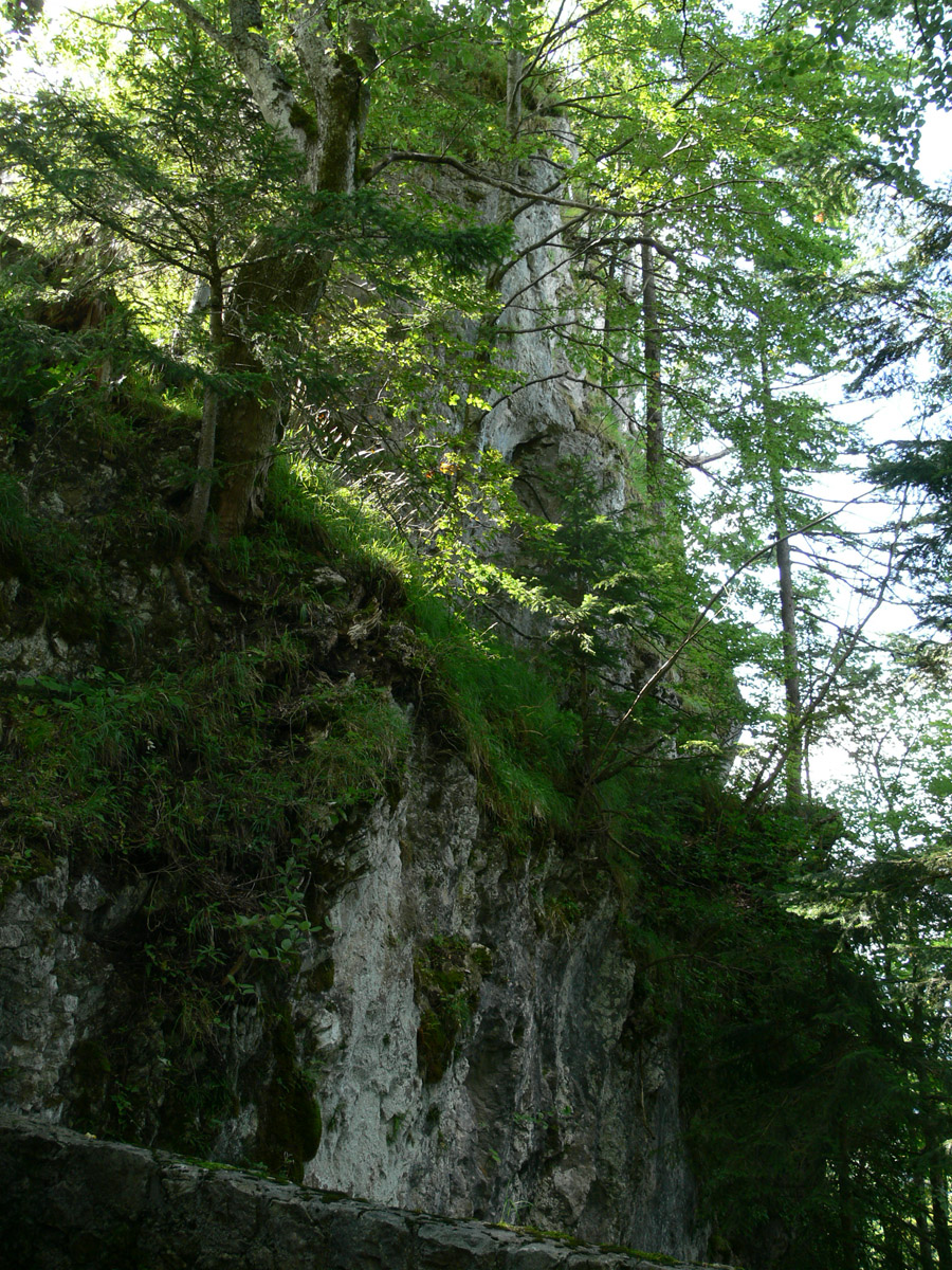Wartenfels: Blick von der Vorburg auf den Felsen der Hochburg.