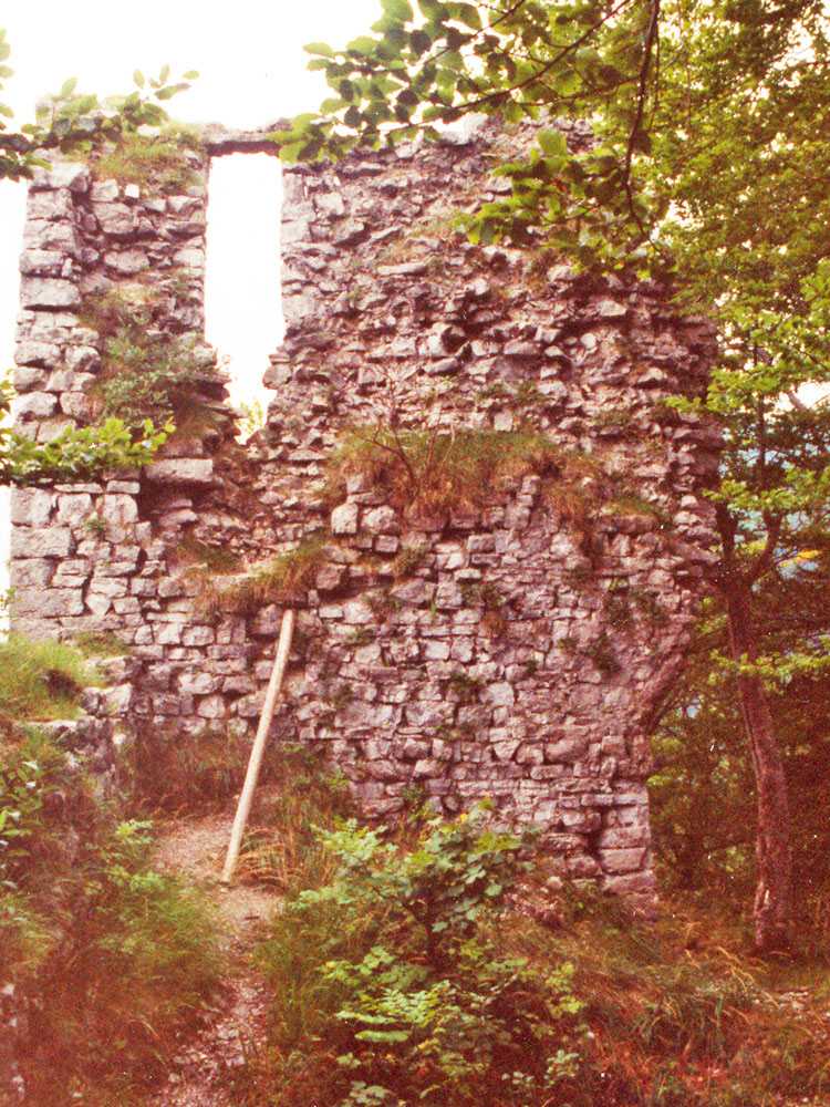 Gutrat: Rückseite des Wohnturms, Zustand 1996
