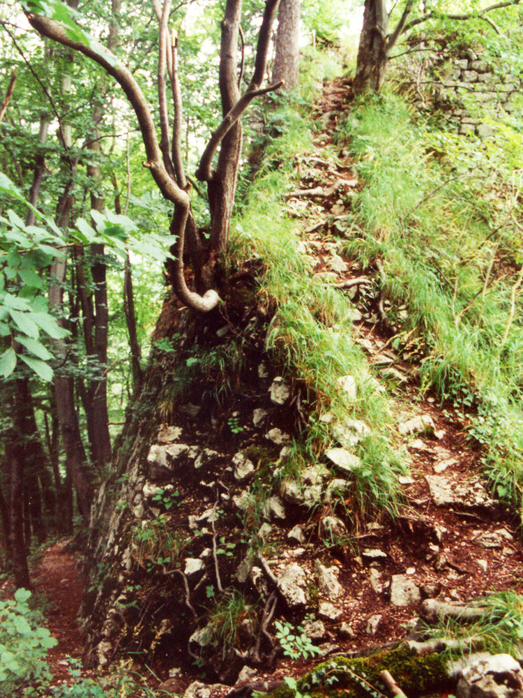 Gutrat: Burgweg nach der ersten Kehre, rechts der Pfad zur Hochburg, der heute auf einer Stahltreppe geführt wird (Foto 1997)