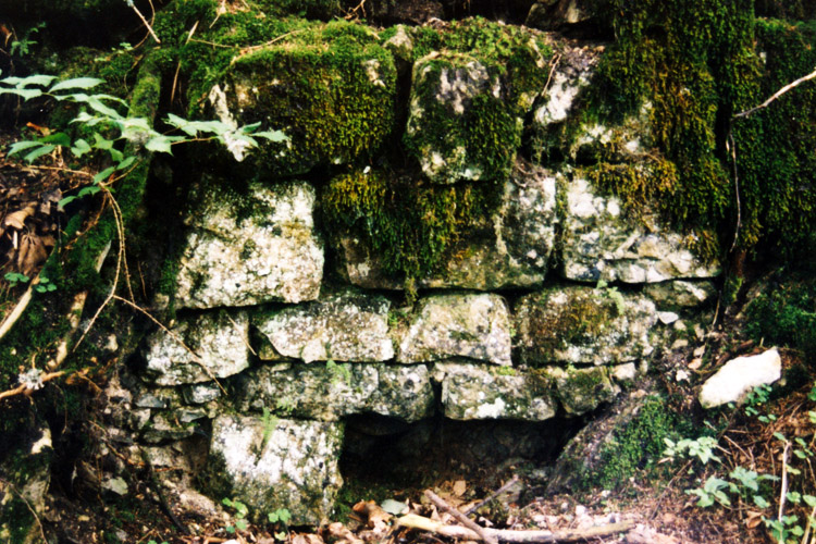 Pflindsberg: Mauerrest der südlichen Ringmauer (Foto 1999)