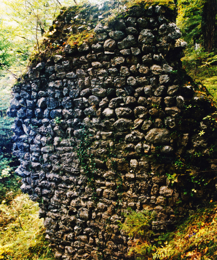 Schintelburg: Mauerwerk der Ringmauer