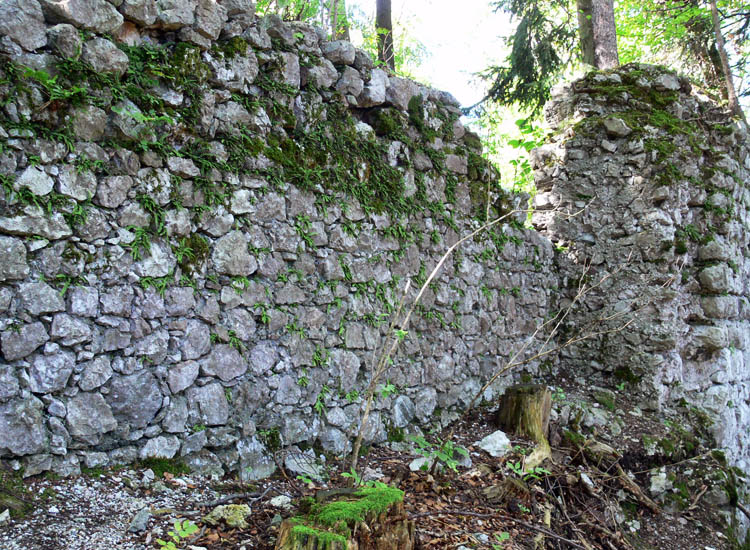 Federaun: Nordseite des verfallenen Bergfrieds. Im Vordergrund der Wiederuafbau in reduzierter mauerstärke, im Hintergrund die Ringmauer, die an den Bergfried angestellt war.