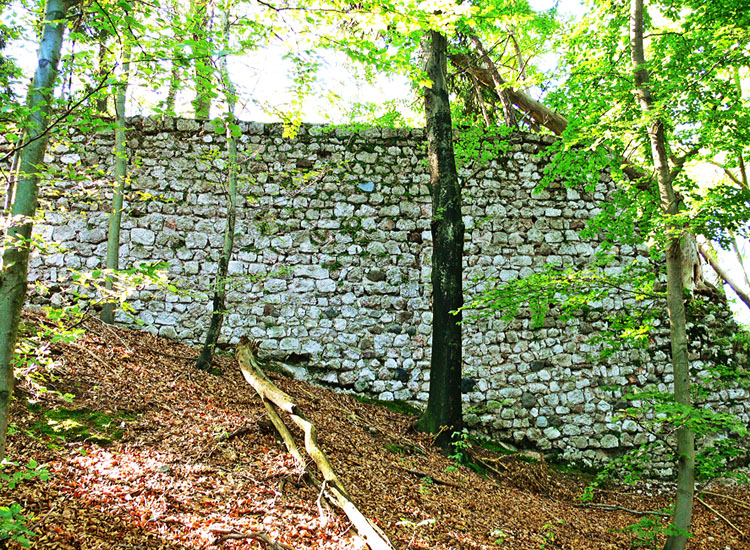 Federaun: nördliche Ringmauer der Kernburg