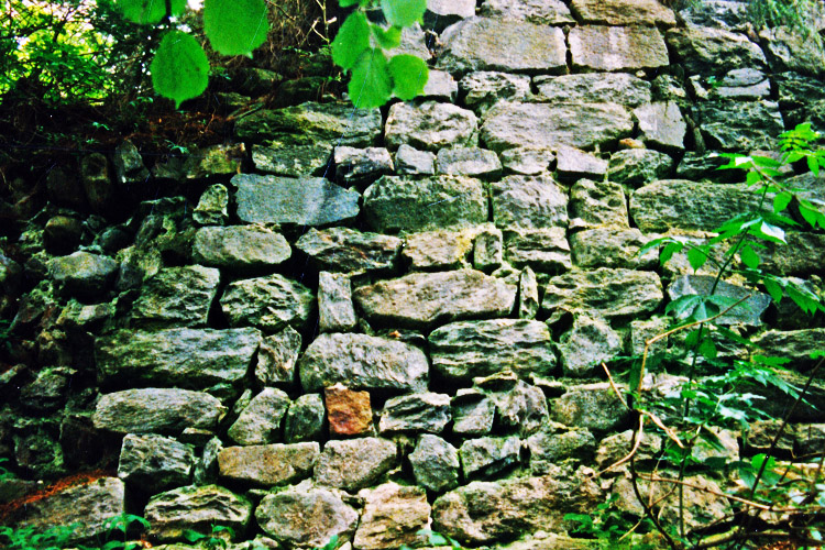 Kienburg: Reste der östlichen Ringmauer (Foto 1999)