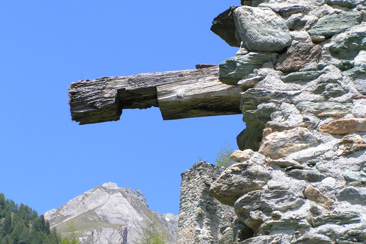 Rabenstein-Virgen: Maueranker am Turm der Vorburg