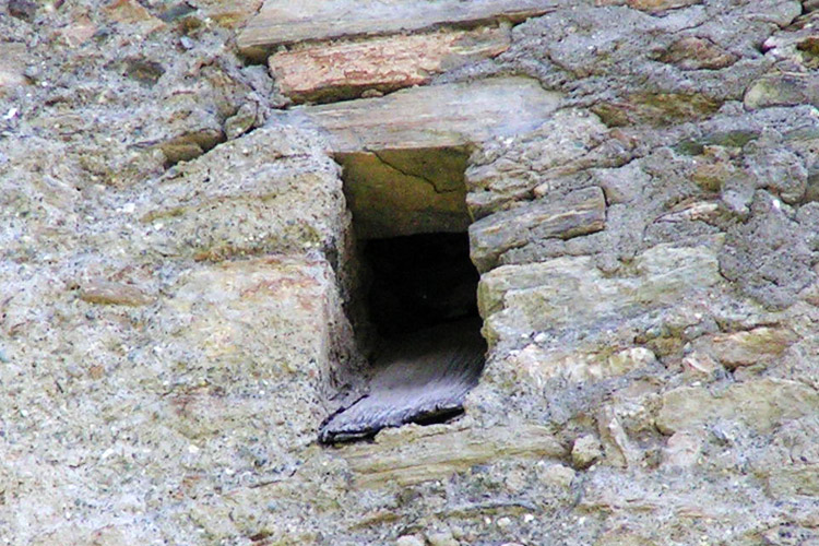 Rabenstein-Virgen: das gefährliche Ende des Abtrittschachtes