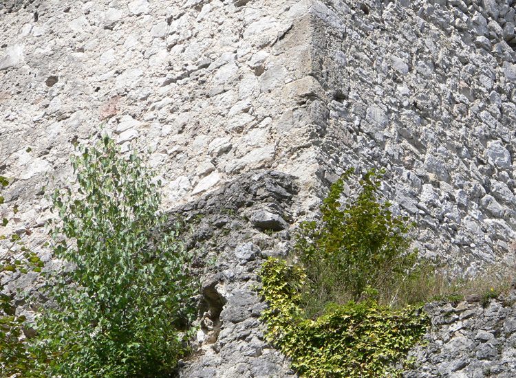 Finkenstein: der Bergfried überbaut eine ältere Ringmauer