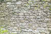 mwk_rapotten_02.jpg (69307 Byte)