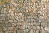 mwk_wolkenst.jpg (54702 Byte)