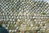 mwk_reticul.jpg (92556 Byte)