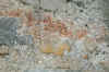 gallenst_farb_01.jpg (53848 Byte)