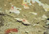 hanfelden_farb_01.jpg (65368 Byte)