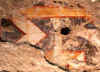 klobg_farb_04.jpg (75686 Byte)