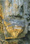 Reifenstein Gewlbekonsole in der Burgkapelle