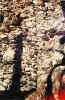 scharnst_bs_05.jpg (104609 Byte)