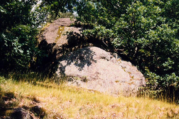 Rotenfels: Felsklotz am Burgfelsen, wahrscheinlich Standort des Bergfrieds.