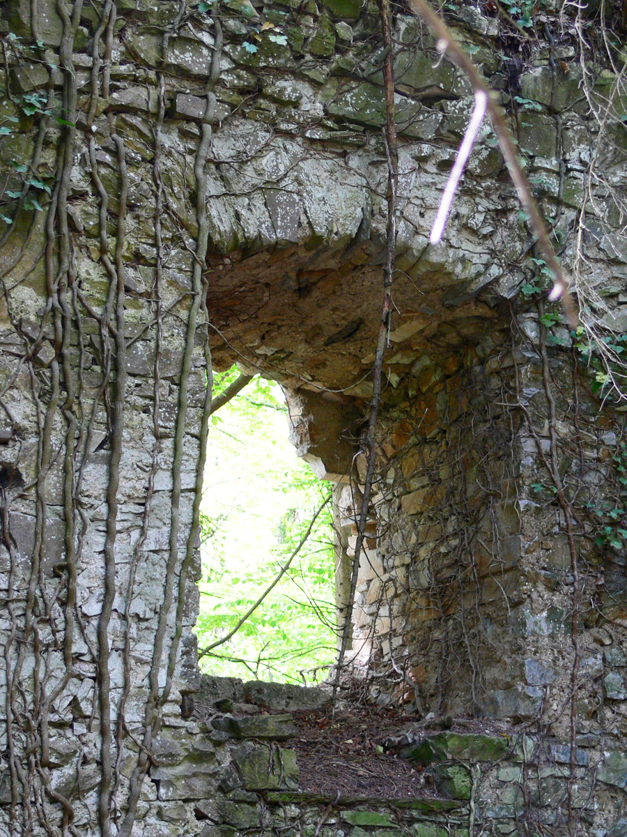 Neu-Wachsenegg: Wohnturm, Fenster im 1.OG