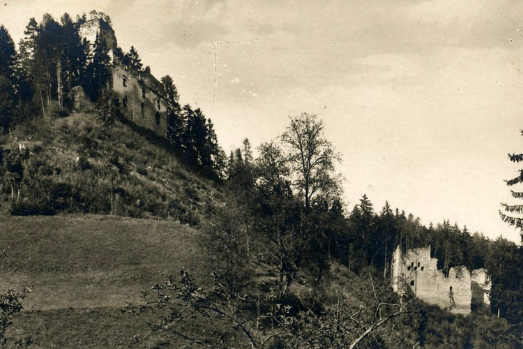 Die beiden Burgen von Wachsenegg