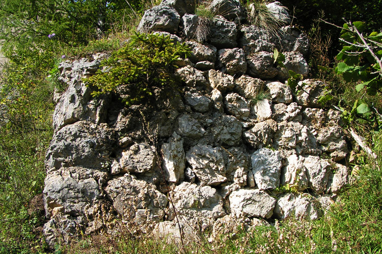 Kammerstein: Turmrest an der Süd-Westecke.