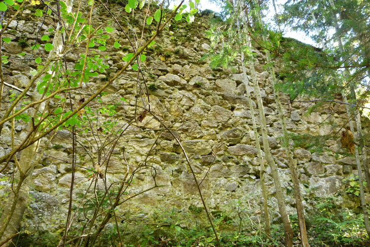 Kammerstein: Mauerwerk der Vorburg.