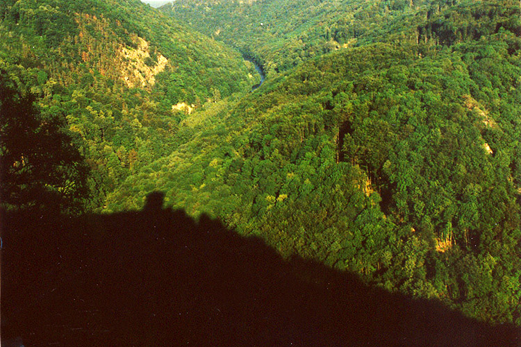 Schauenstein: blick ins Kamptal mit Schatten des Bergfrieds.