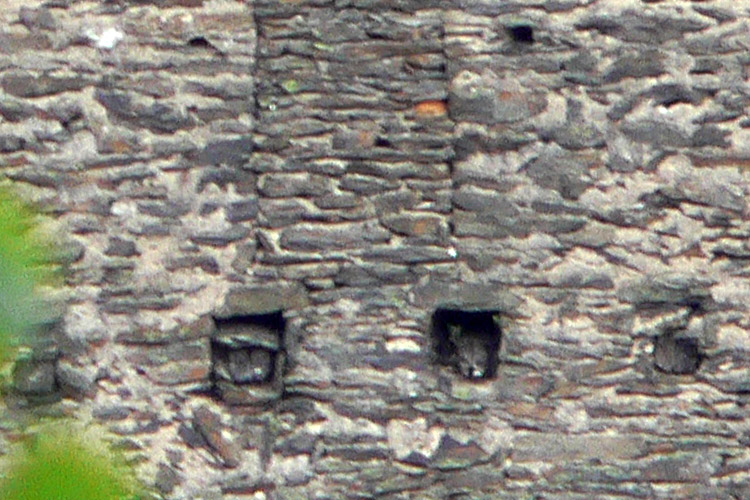 Niederkraig Wohnturm. Detail des beweglichen Balkens am Balkon 3. Obergeschoss Westseite.