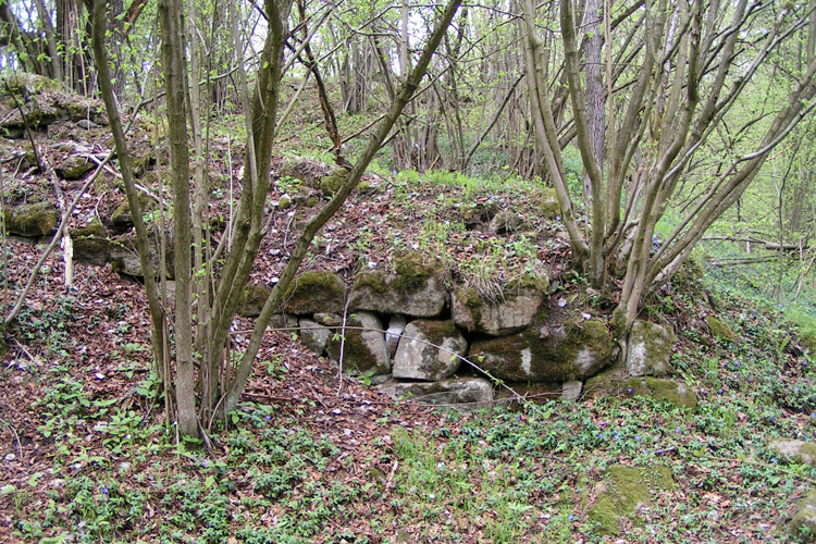 Mitterberg: Ringmauerrest in der ersten Vorburg