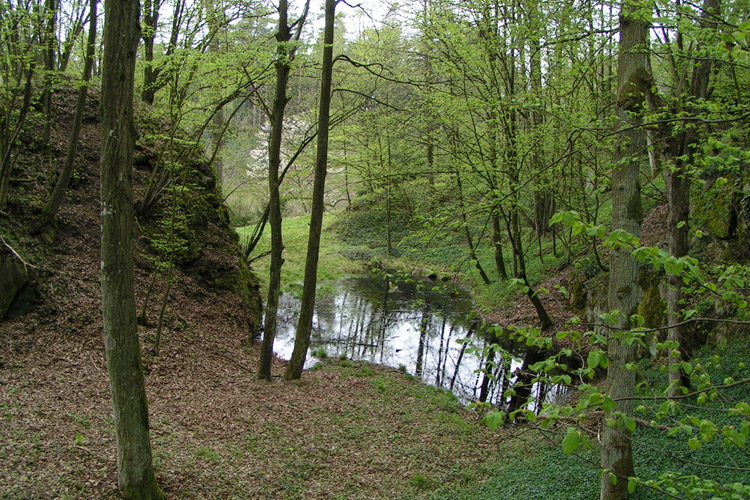 Mitterberg: Halsgraben zwischen Hauptburg  und erster Vorburg