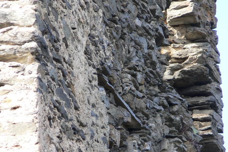 Niederkraig Wohnturm: Reste der Trichterfenster an der Ostseite (aussen).