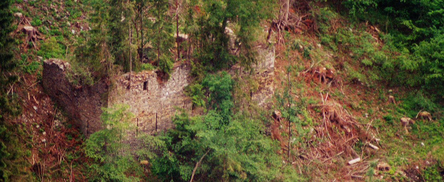 Niederkraig - Kasten: Ansicht von der Burg Hochkraig.