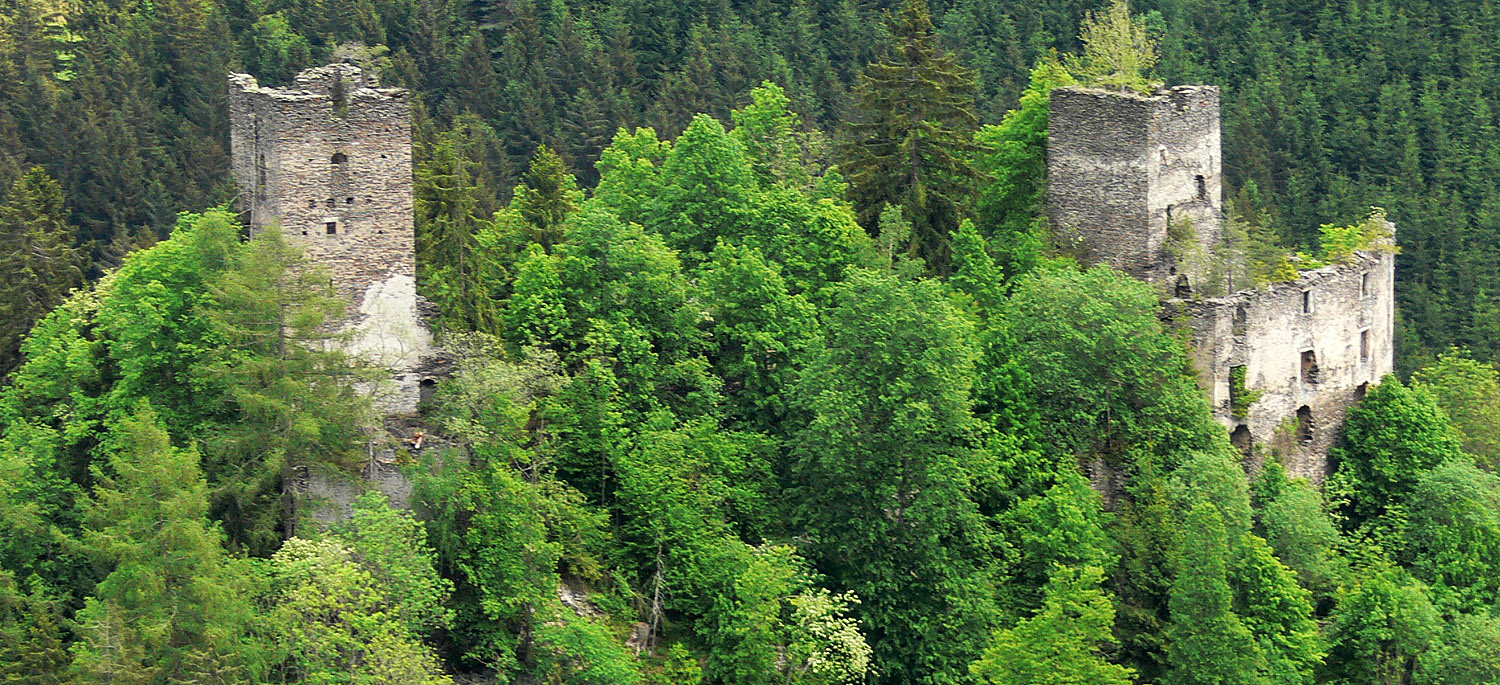 Überblick über Niederkraig mit der Hauptburg rechts und dem Wohnturm links.