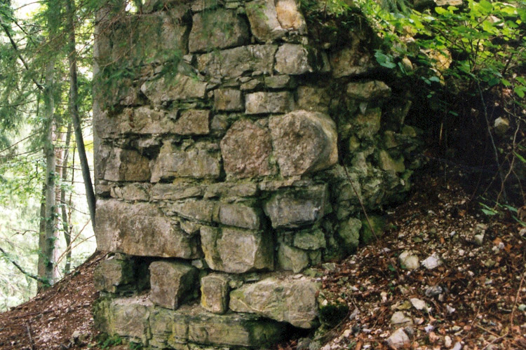 Pflindsberg: Rest des Keilturms (Foto 1999)