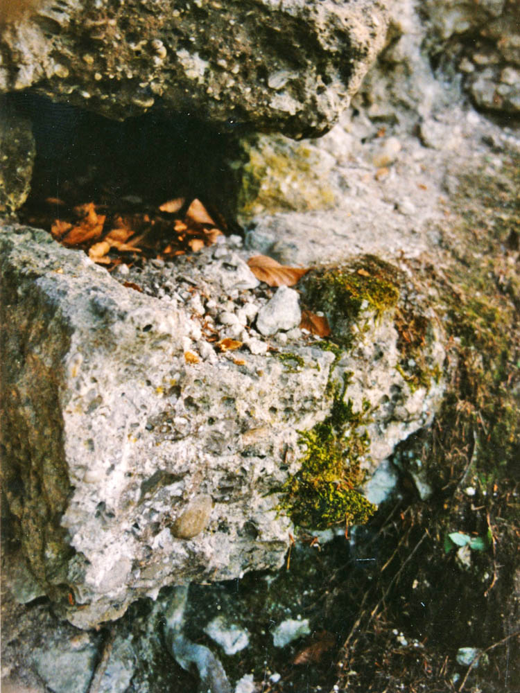 Greifenfels: Ausgussstein an der Nordseite