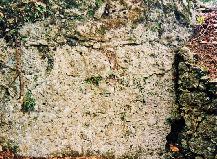 Greifenfels: Ecke eines randständigen Gebäudes an der Nordseite