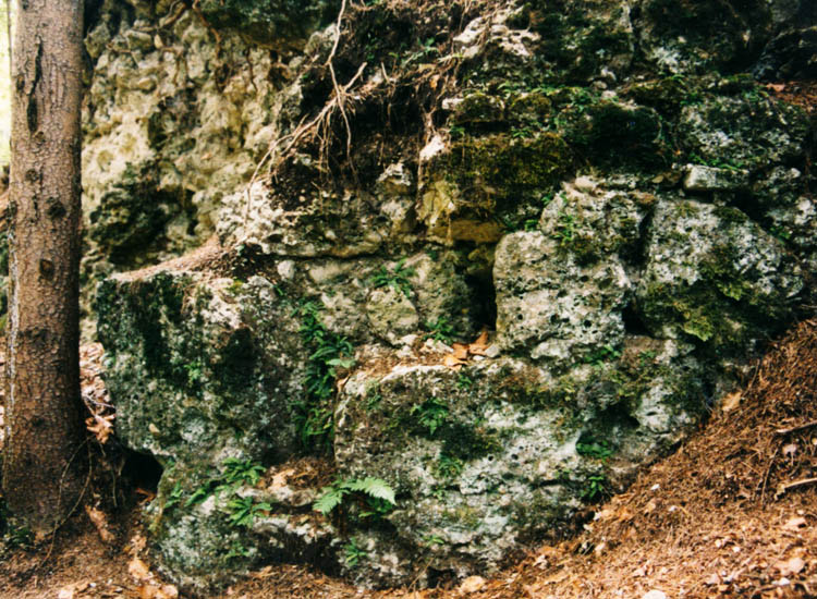 Greifenfels: Mauerwerk