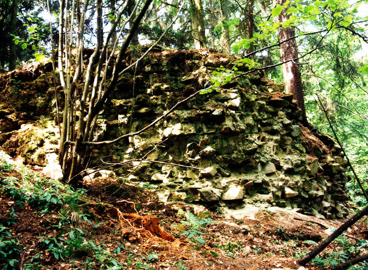 Möstling: Mauerrest der Schildmauer