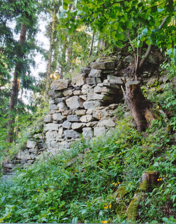 Thurnberg: die kümmrlichen überwucherten Reste des Bergfrieds