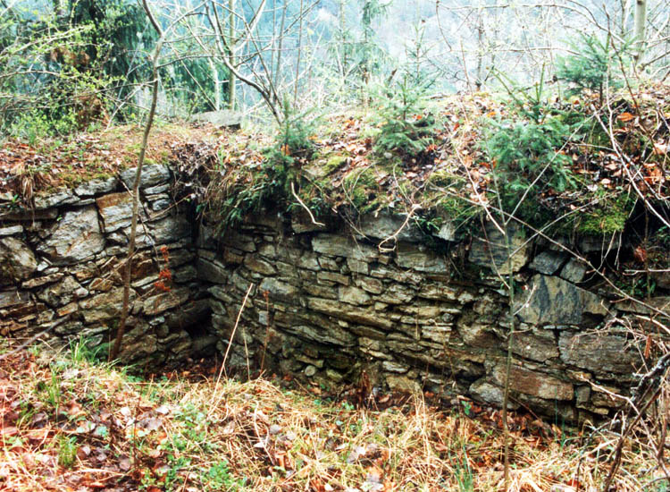 Thurnberg: Das Ostende der Zwingermauer, Innenseite