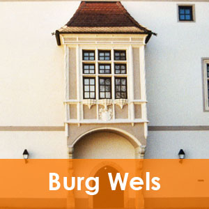 Burg Wels