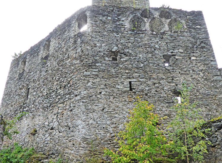 Liebenfels: Totale der Palas-Talseite