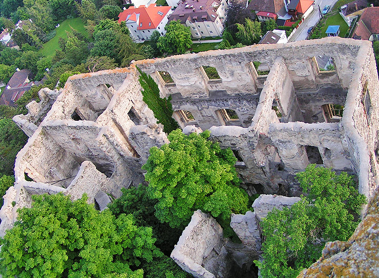 Rauhenstein: Der Palas, vom Bergfried aus gesehen.