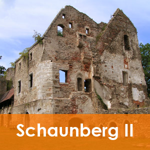 Der Palas von Schaunberg