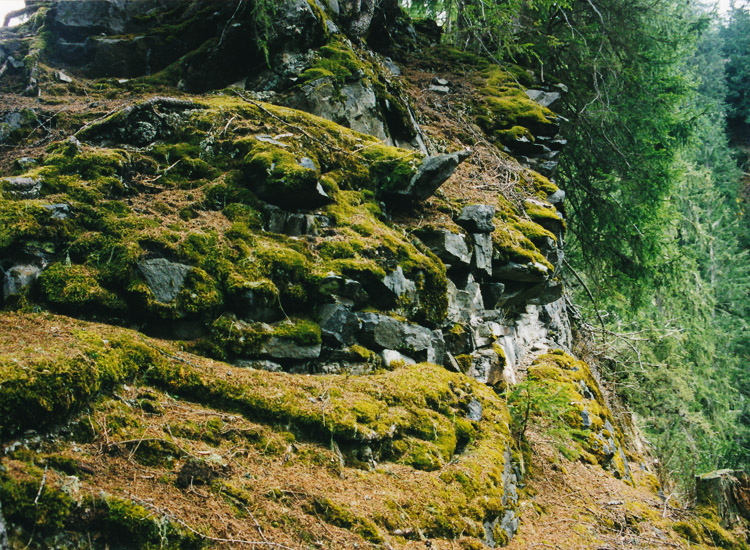 Edenvest: nördliche Ringmauer, Foto 1998.