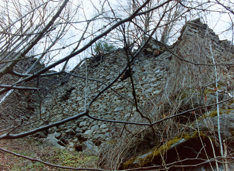 Falkenstein: die südliche Aussenmauer von [10].