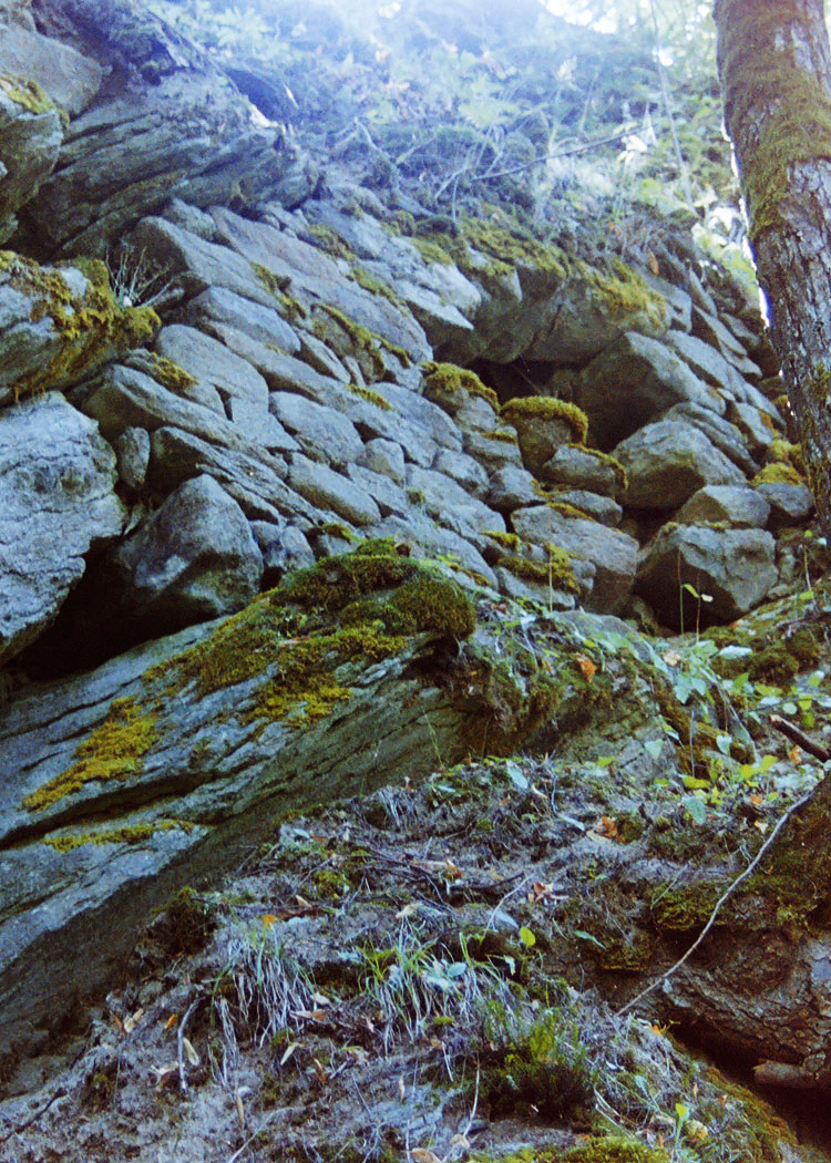 Falkenstein: romanisches Mauerwerk im Fundamentbereich des Bergfrieds (Foto 2003)